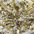 Трикотажное полотно, Сетка с пайетками, шир.130 см, #315, цв.-белый/золото - купить в Грозном. Цена 693.39 руб.