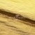 Текстильный материал "Диско"#1805 с покрытием РЕТ, 40гр/м2, 100% полиэстер, цв.5-золото - купить в Грозном. Цена 416.57 руб.