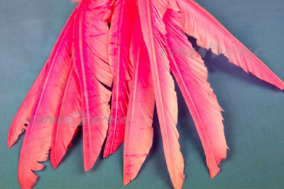 Декоративный Пучок из перьев, перо 25см/розовый - купить в Грозном. Цена: 14.40 руб.