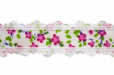 Тесьма декоративная 0385-6170, шир. 25 мм/уп. 22,8+/-1 м, цвет 02-розовый - купить в Грозном. Цена: 364.70 руб.