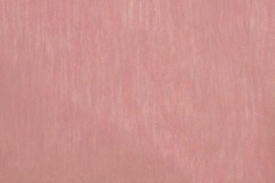 Органза однотонная "Амелия" С19 (Розовый) 280 см - купить в Грозном. Цена 303.09 руб.