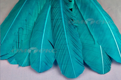 Декоративный Пучок из перьев, перо 24см/голубой - купить в Грозном. Цена: 12.19 руб.