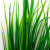 Трава искусственная -2, шт (осока 41см/8 см)				 - купить в Грозном. Цена: 104.57 руб.