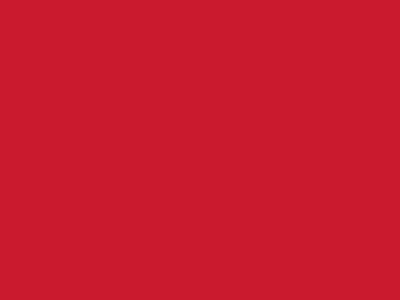 Сетка подкладочная красный, 60г/м2 (10 м/кг) - купить в Грозном. Цена 885.73 руб.