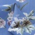 Плательная ткань "Фламенко" 12.1, 80 гр/м2, шир.150 см, принт растительный - купить в Грозном. Цена 241.49 руб.
