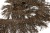 008-коричневый, Бахрома арт.001 шир.10см (упак.12+/-0,5м) - купить в Грозном. Цена: 1 017.33 руб.