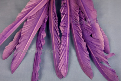 Декоративный Пучок из перьев, перо 25см/фиолетовый - купить в Грозном. Цена: 12.19 руб.