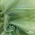 Ткань органза, 100% полиэстр, 28г/м2, шир. 150 см, цв. #27 зеленый - купить в Грозном. Цена 86.24 руб.