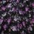 Плательная ткань "Фламенко" 20.1, 80 гр/м2, шир.150 см, принт растительный - купить в Грозном. Цена 241.49 руб.