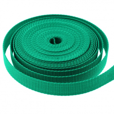Стропа текстильная, шир. 25 мм (в нам. 50+/-1 ярд), цвет яр.зелёный - купить в Грозном. Цена: 397.52 руб.