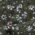 Плательная ткань "Фламенко" 11.2, 80 гр/м2, шир.150 см, принт растительный - купить в Грозном. Цена 259.21 руб.
