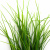 Трава искусственная -3, шт (осока 50 см/8 см  5 листов)				 - купить в Грозном. Цена: 124.17 руб.